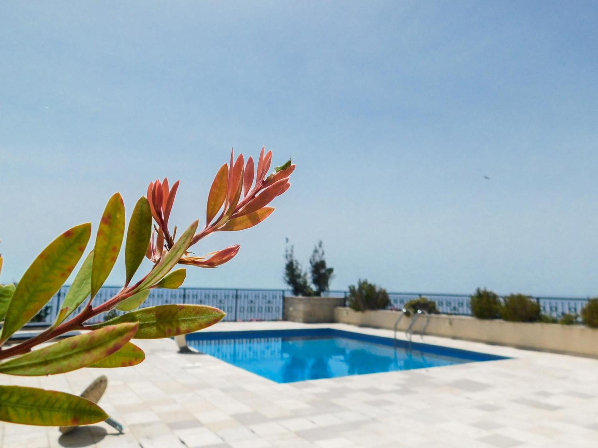 Vila Casa Oliva With Private Heating Pools
